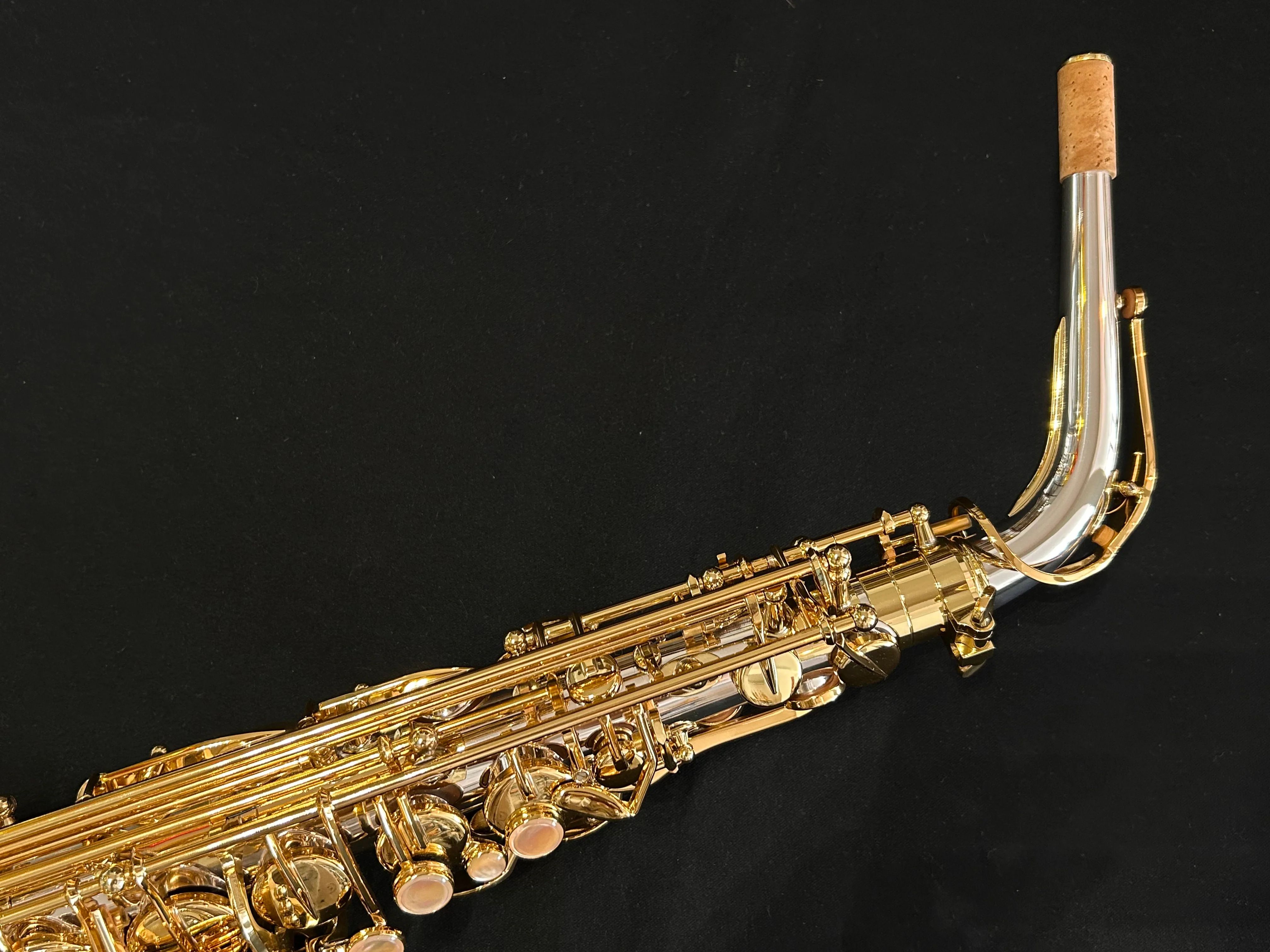 Saxophone Alto Selmer Série III en argent massif - Sax Machine - Image 7